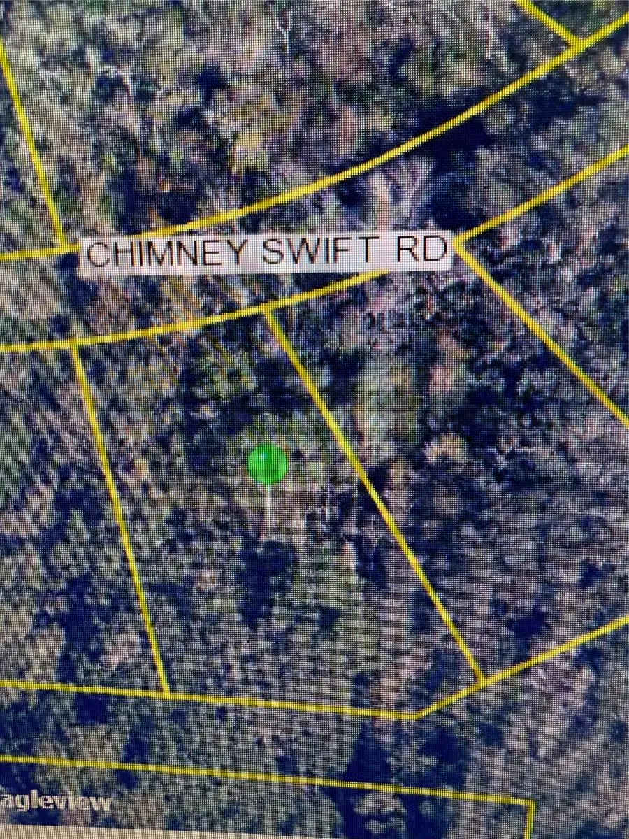 14388 Chimney Swift Road, Weeki Wachee, FL 34614 - Image #2