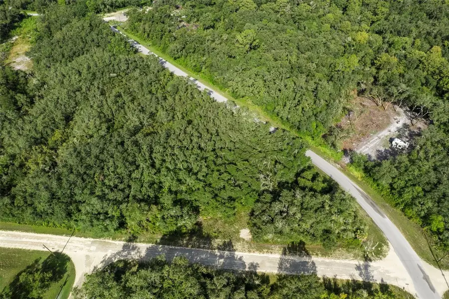 Bigelow Avenue, Webster, FL 33597 - #2