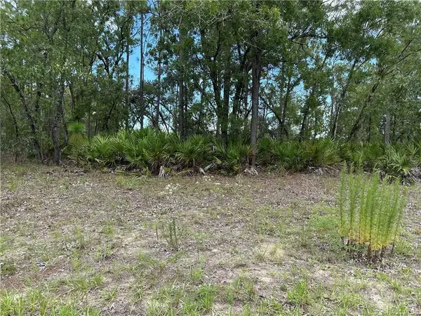 1195 W Hampshire Boulevard, CITRUS SPRINGS, FL 34434