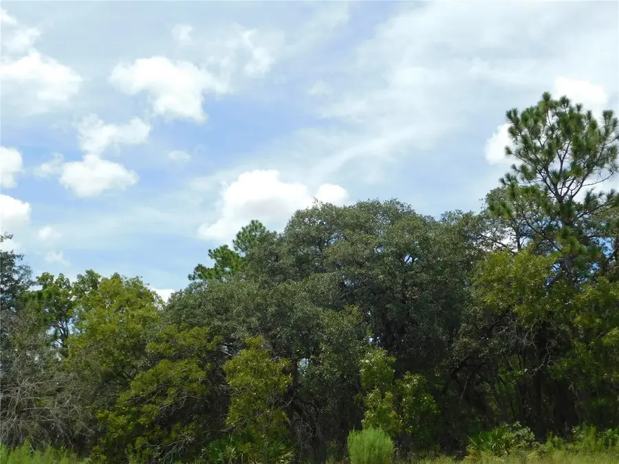 6681 N Bedstrow Boulevard, Pine Ridge, FL 34434 - Image #2