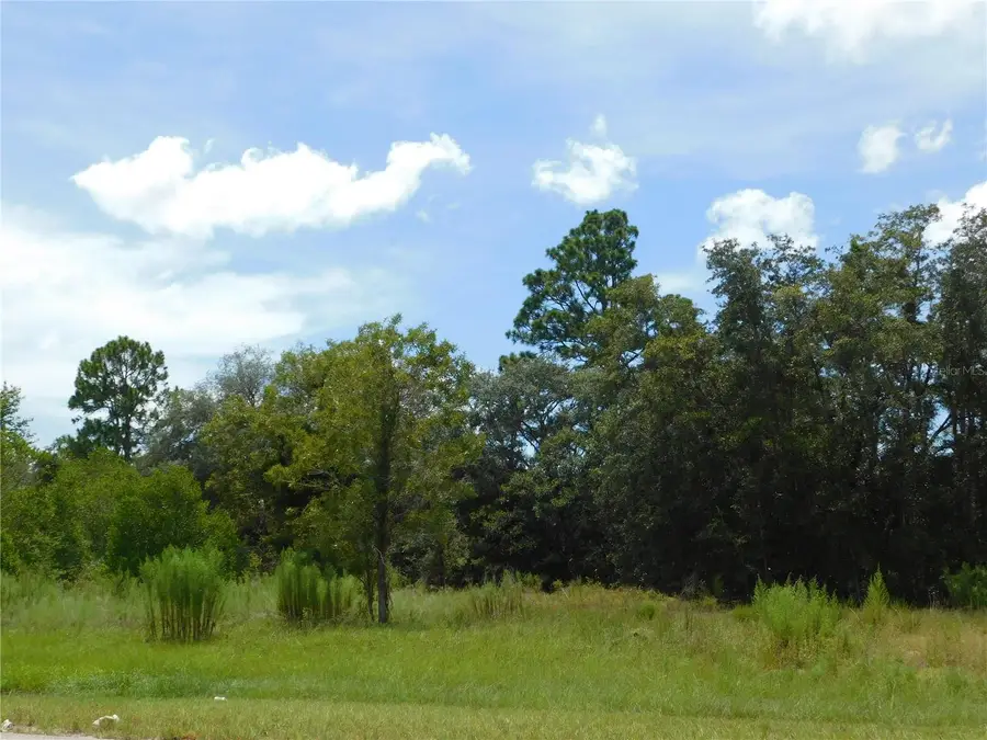 6681 N Bedstrow Boulevard, Pine Ridge, FL 34434 - Image #3