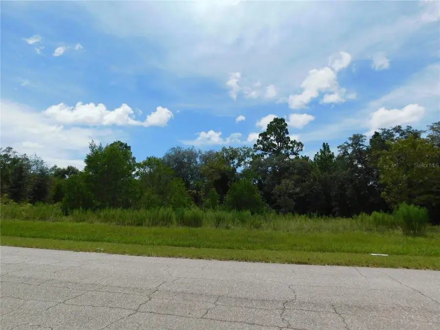 6683 N Bedstrow Boulevard, Pine Ridge, FL 34434 - Image #3