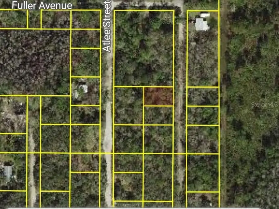 Evergreen Street, New Port Richey, FL 34654 - Image #2