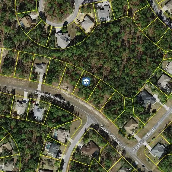 62 Corkwood Boulevard, HOMOSASSA, FL 34446