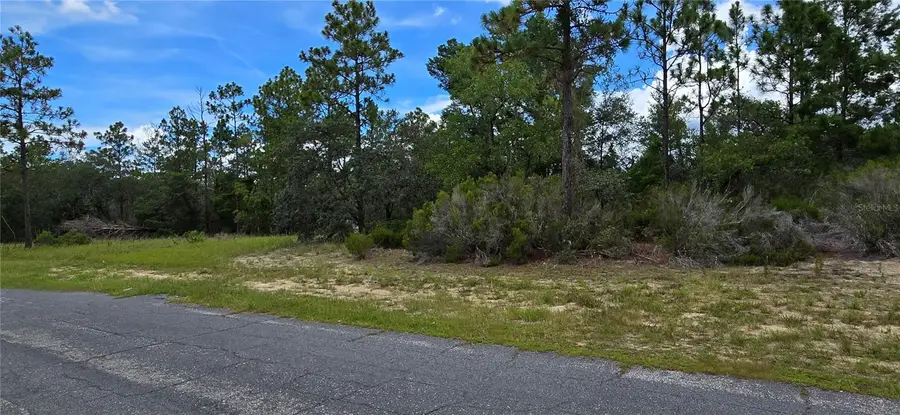 2899 W Santana Drive, Citrus Springs, FL 34433 - Image #2