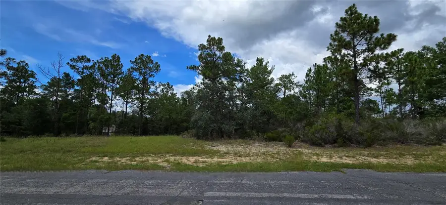 2899 W Santana Drive, Citrus Springs, FL 34433 - Image #3