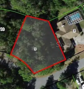 24 Wild Olive Court, Homosassa, FL 34446 - Image #2