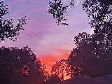 10261 Woodland Waters Boulevard, Weeki Wachee, FL 34613 - #3