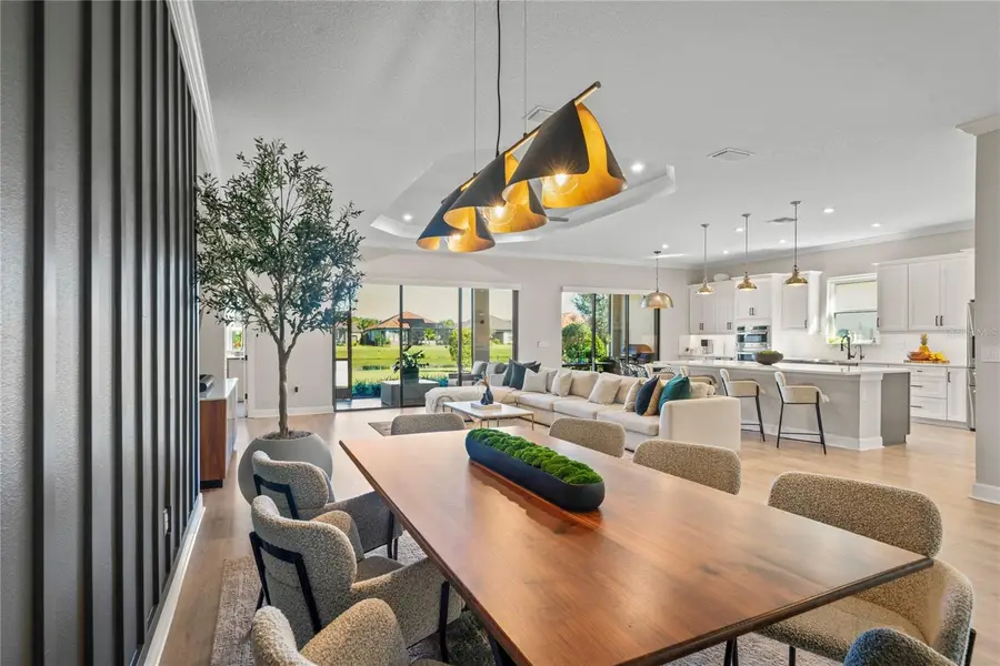 11223 Egeria Drive, Odessa, FL 33556 - Image #2