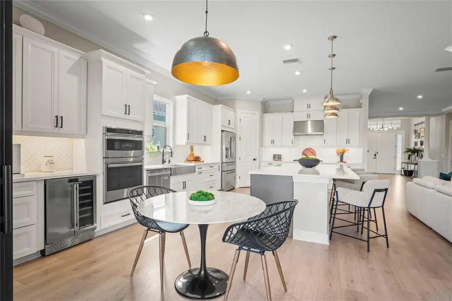 11223 Egeria Drive, Odessa, FL 33556 - Image #3