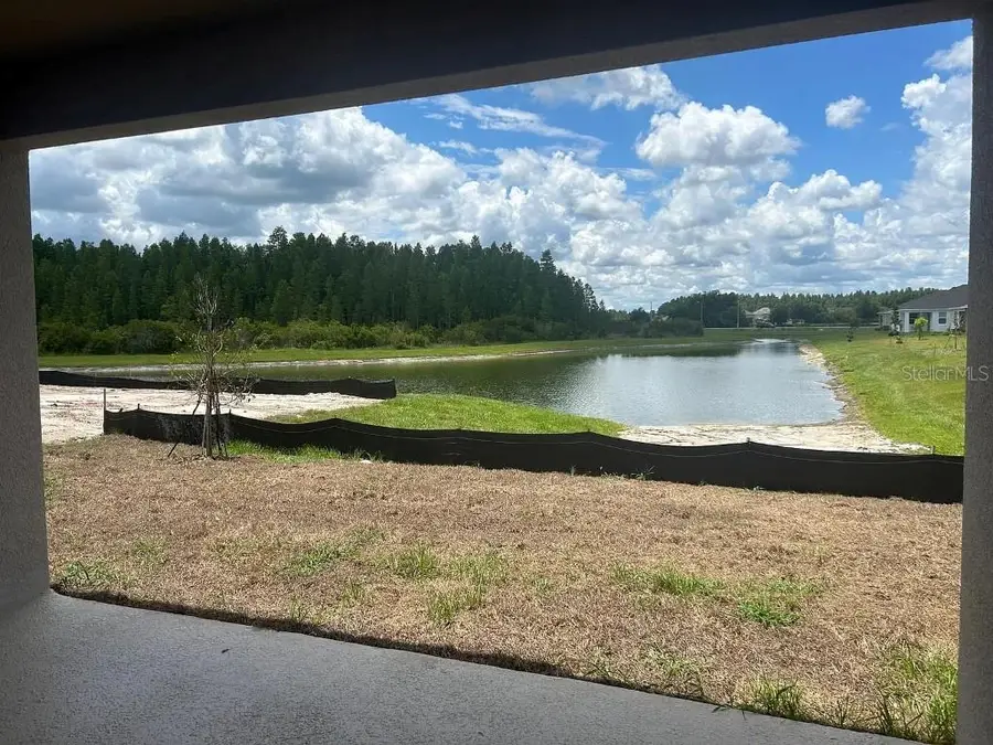 32226 Eldorado Canyon Loop, Wesley Chapel, FL 33543 - Image #3