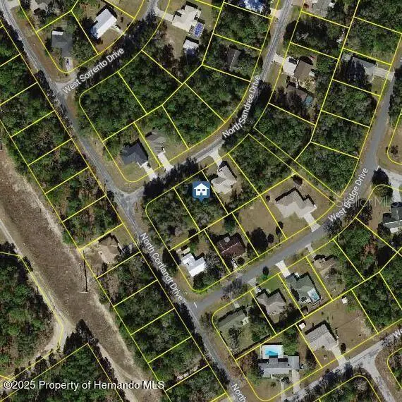 9996 N Sandree Drive, Citrus Springs, FL 34434 - #1