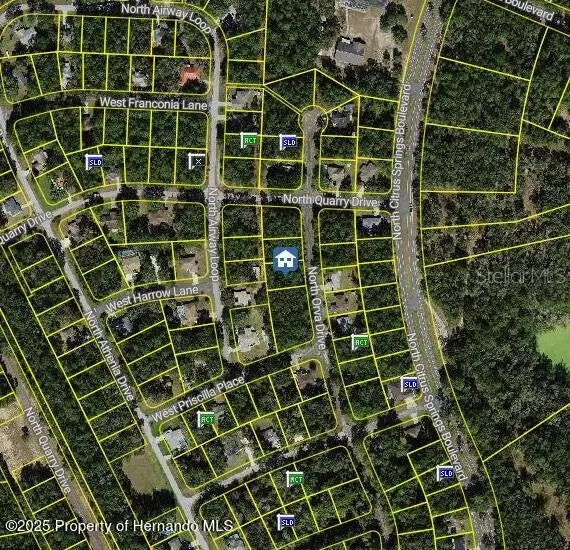 10768 N Orva Drive, Citrus Springs, FL 34434 - Image #2