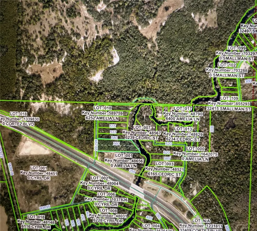 Amelia Lane, Dade City, FL 33523 - Image #3