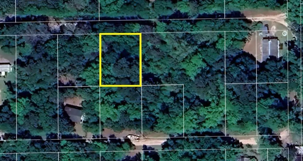 102 NE 37th Lane, Silver Springs, FL 34488 - #1