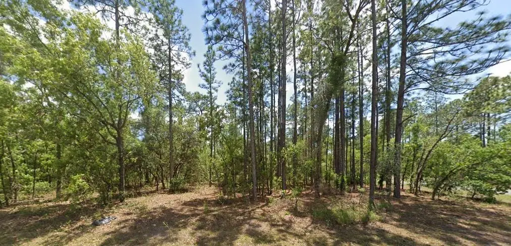 3662 W Galtonia Lane, Citrus Springs, FL 34433 - Image #1