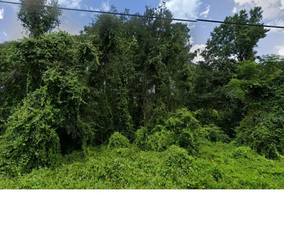 Oconee Boulevard, New Port Richey, FL 34654 - Image #1