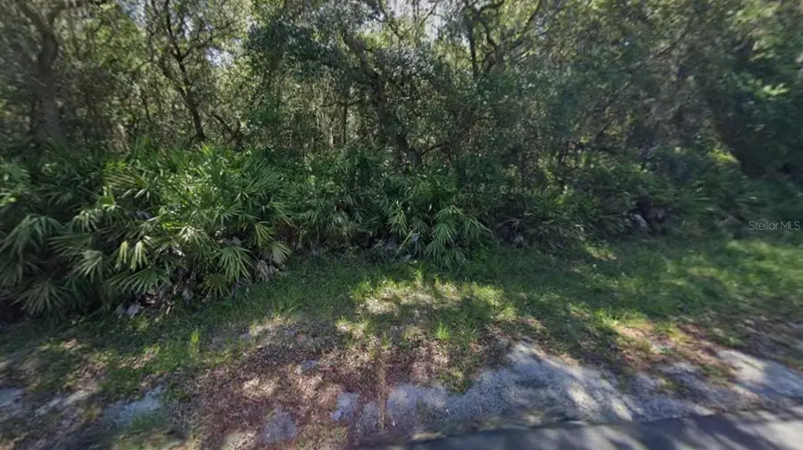 849 N Horse Prairie Road, Inverness, FL 34450 - Image #3