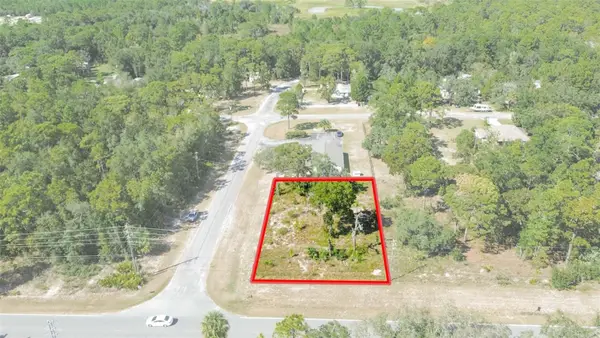 7317 W Homosassa Trail, HOMOSASSA, FL 34448