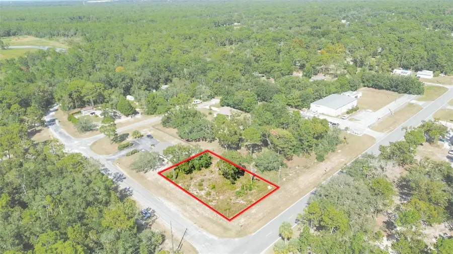 7317 W Homosassa Trail, Homosassa, FL 34448 - Image #3
