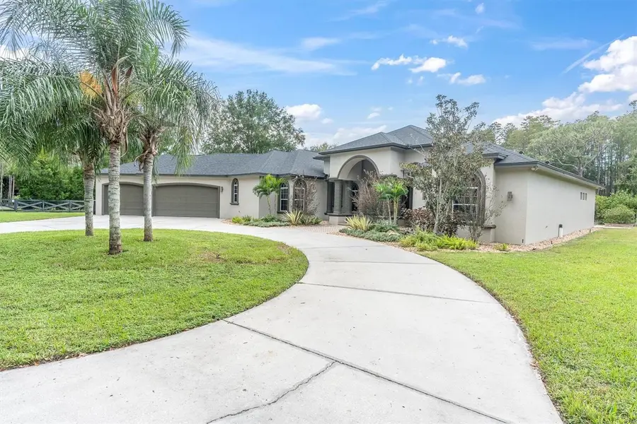 7908 Lady Lake Lane, Odessa, FL 33556 - Image #3