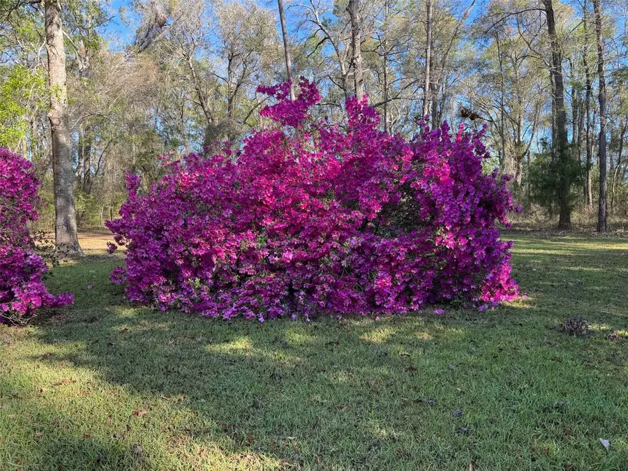 24415 NW 90th Place, Alachua, FL 32615 - Image #3