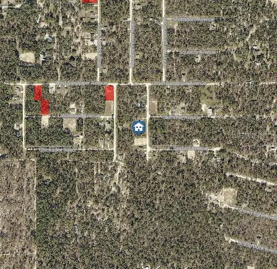 LOT 14 Magdalena Road, Weeki Wachee, FL 34614 - Image #3
