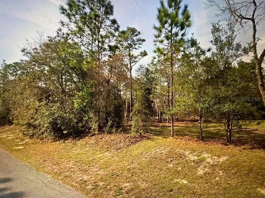 SW 68th Loop, Dunnellon, FL 34432 - Image #2