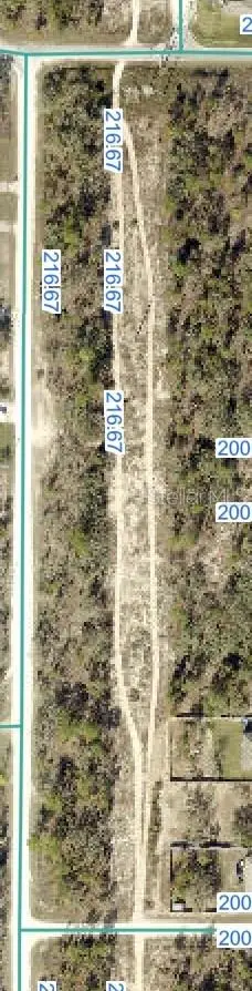 Snowy Plover Avenue, Brooksville, FL 34614 - Image #1