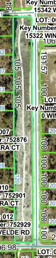 Senator Road, Brooksville, FL 34614 - Image #2