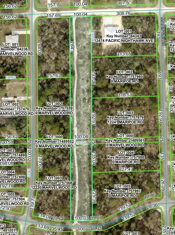 Pacific Nighthawk Avenue, BROOKSVILLE, FL 34614