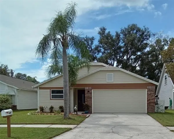 11204 Elmfield Drive, TAMPA, FL 33625