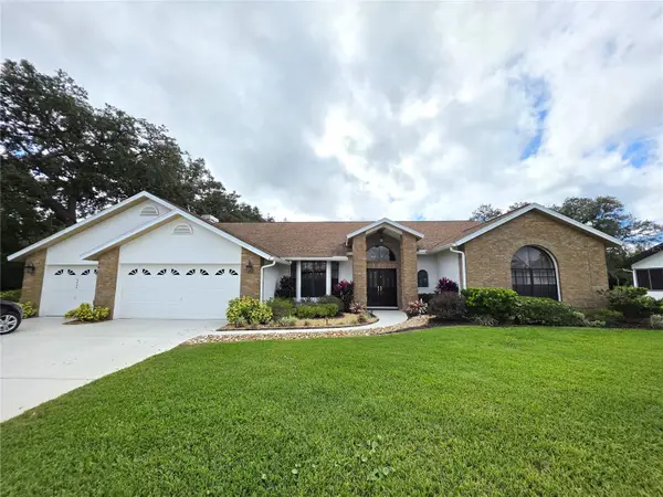 9446 Ashley Drive, WEEKI WACHEE, FL 34613