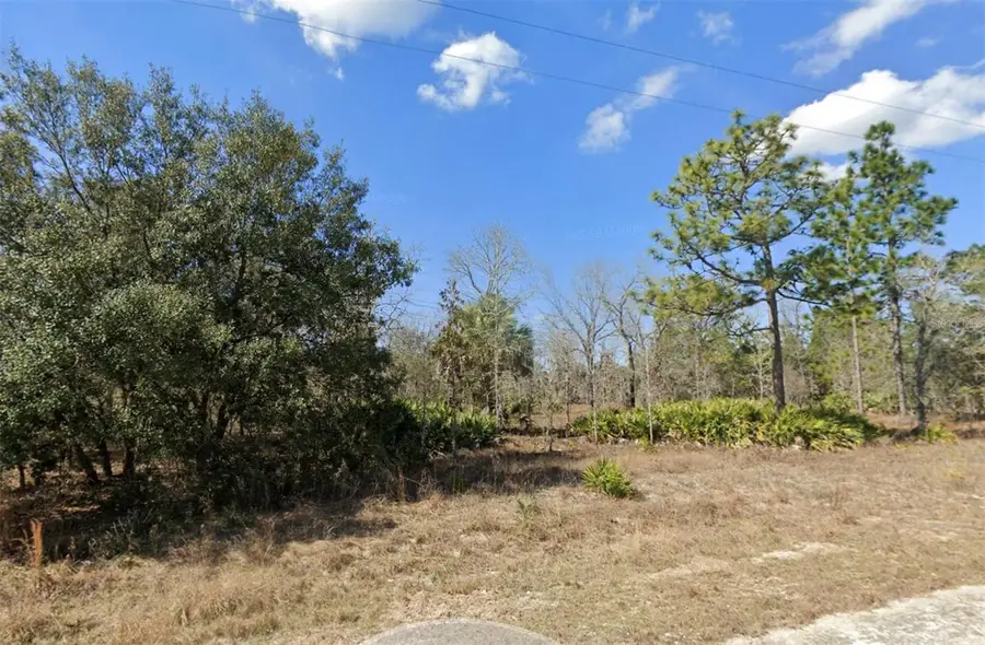 0 Courlan Road, Brooksville, FL 34614 - Image #2