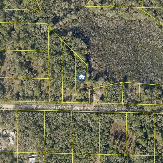 LOT 37 Soap Stone Street, WEBSTER, FL 33597