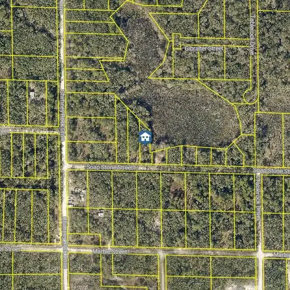 LOT 37 Soap Stone Street, Webster, FL 33597 - Image #2