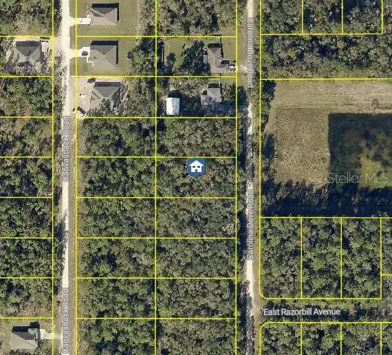 LOT 1021 Carolina Dove Road, WEEKI WACHEE, FL 34614