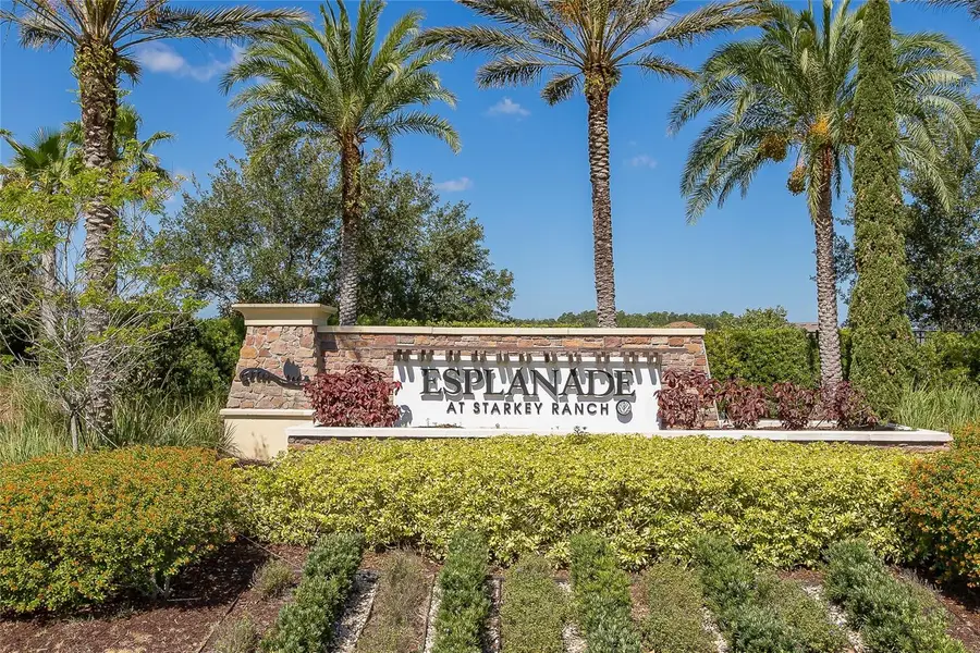 11599 Callisia Drive, Odessa, FL 33556 - Image #3