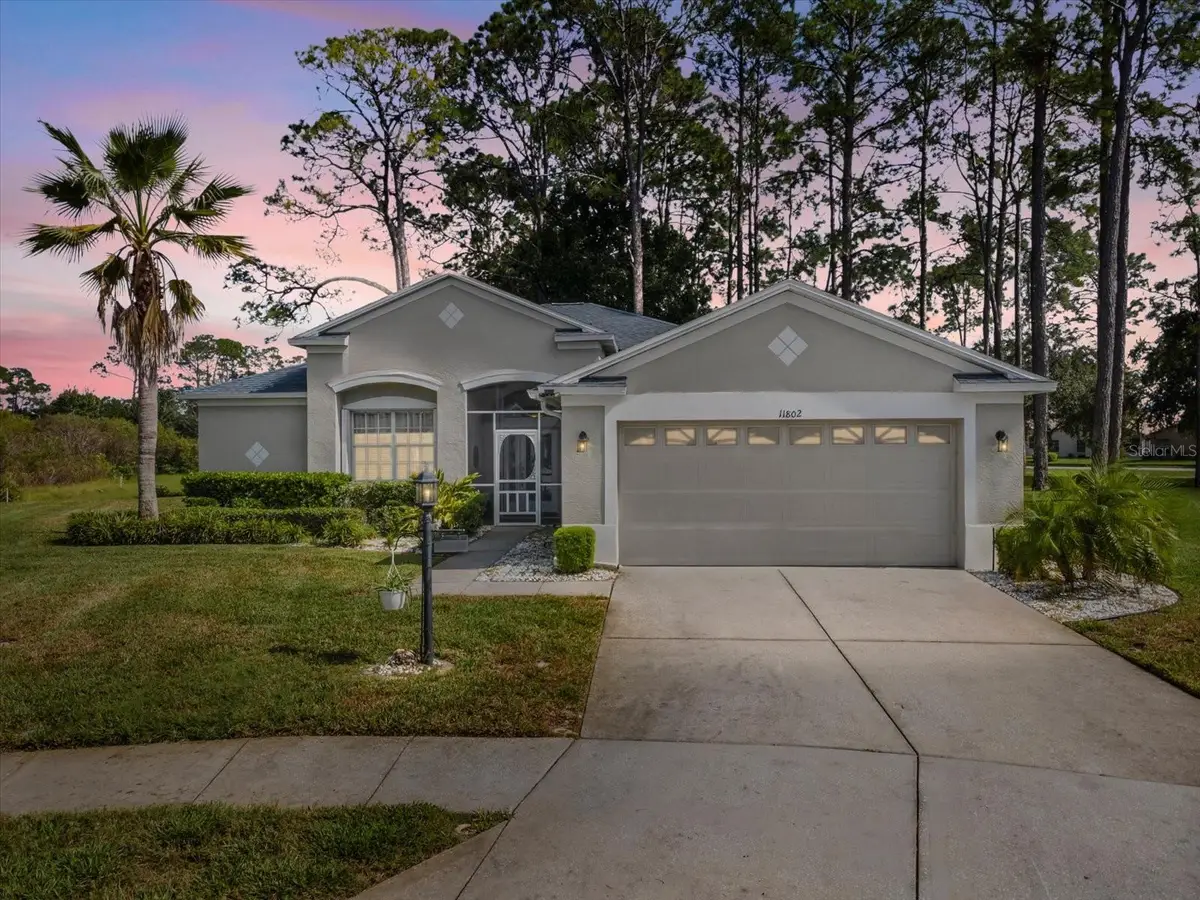 11802 Wayside Willow Court, Hudson, FL 34667 - Image #1