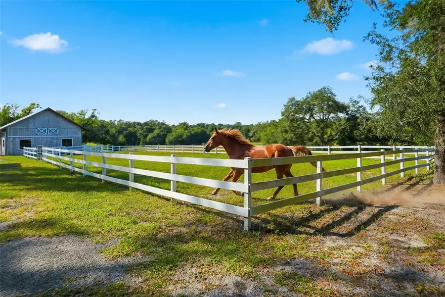 14315 Family Trail, Hudson, FL 34669 - Image #3