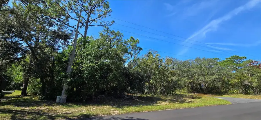 1 Buckeye Court, Homosassa, FL 34446 - Image #3