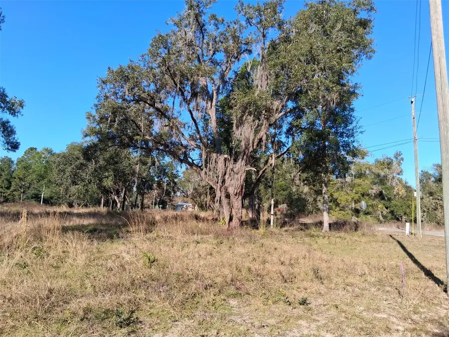 0 Long Circle, Webster, FL 33597 - Image #2