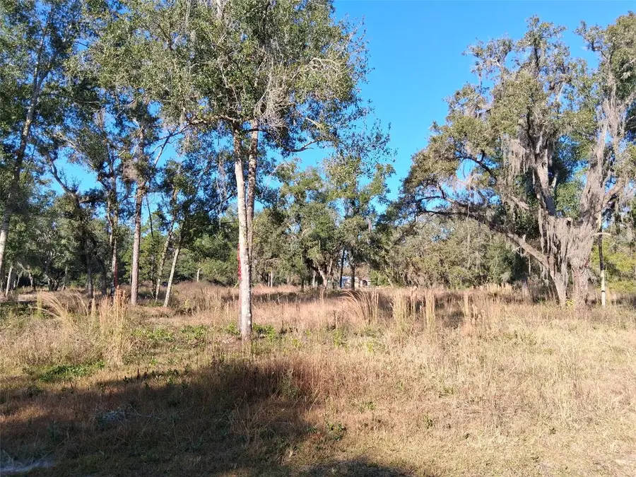 0 Long Circle, Webster, FL 33597 - Image #3