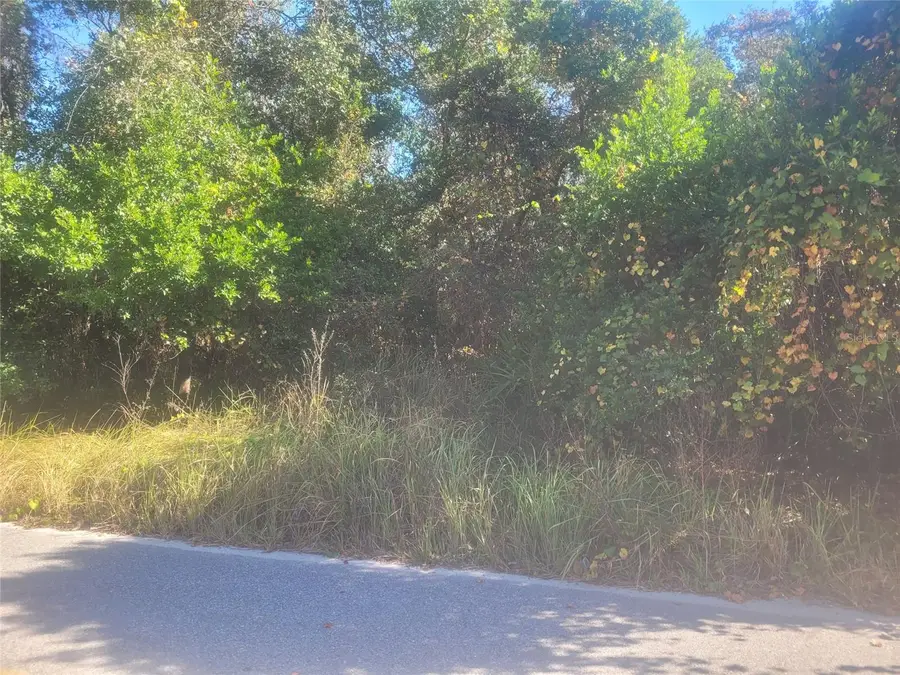 Adler Street, New Port Richey, FL 34654 - Image #3