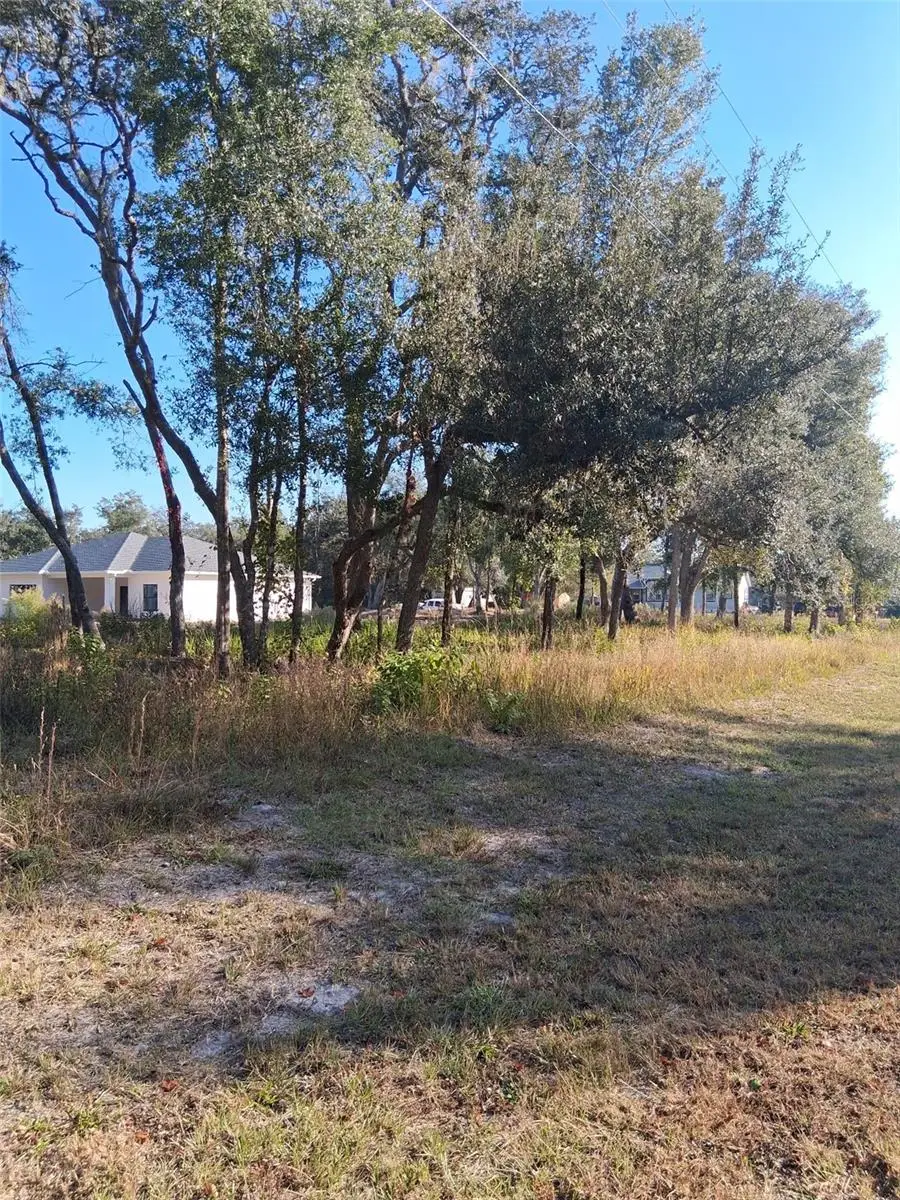 0 August Avenue, Webster, FL 33597 - Image #2