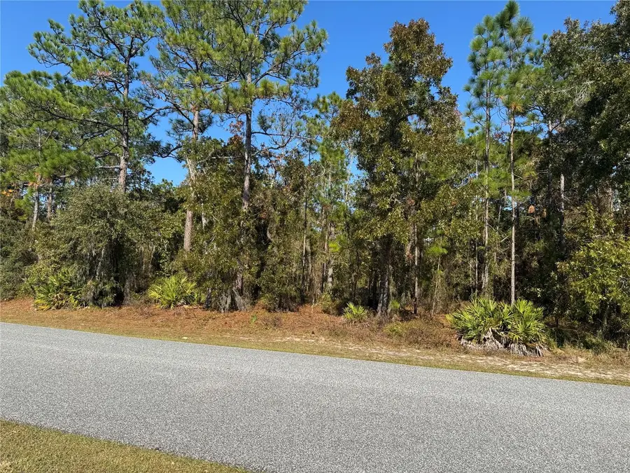 157 Daisy Street, Homosassa, FL 34446 - Image #3