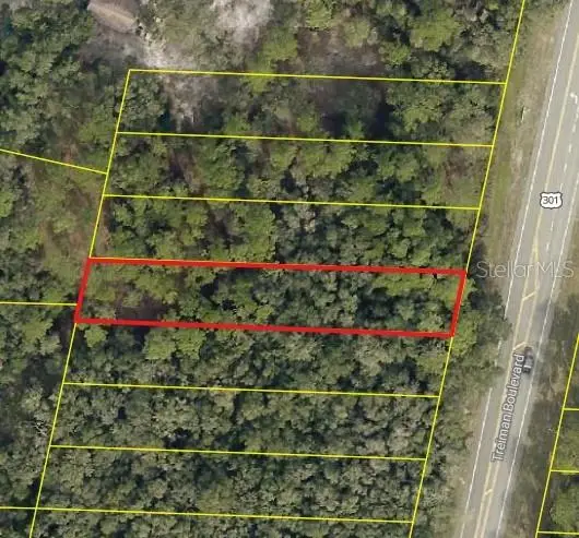 0 Treiman Boulevard, Webster, FL 33597 - Image #2