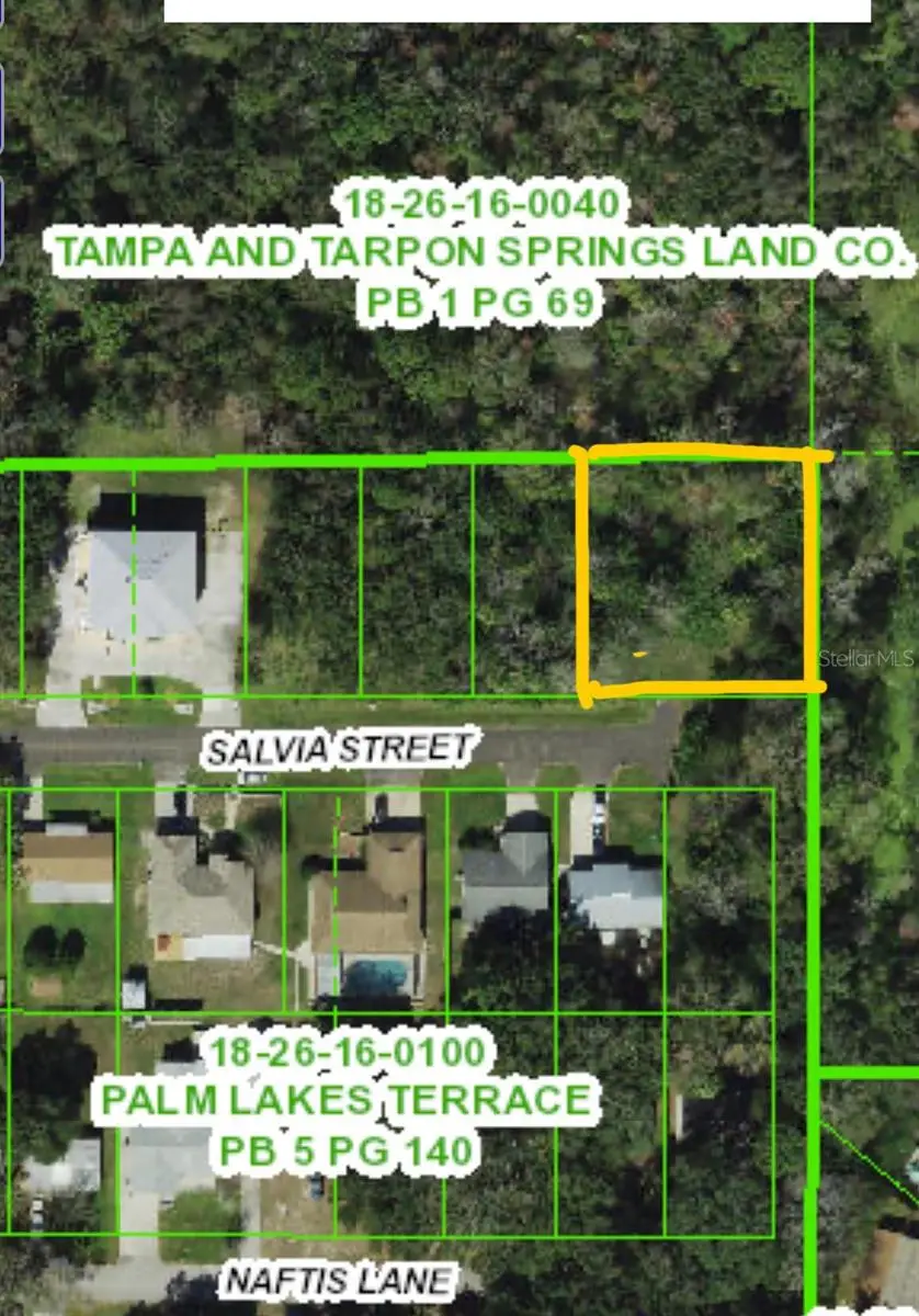 4715 Salvia Street, New Port Richey, FL 34652 - Image #2