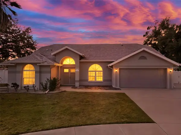 9823 Sunnyoak Drive, RIVERVIEW, FL 33569