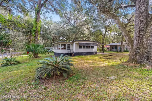 3617 Cr 406, LAKE PANASOFFKEE, FL 33538